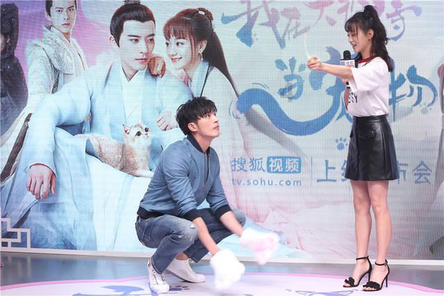小猫钓鱼正版下载中文版